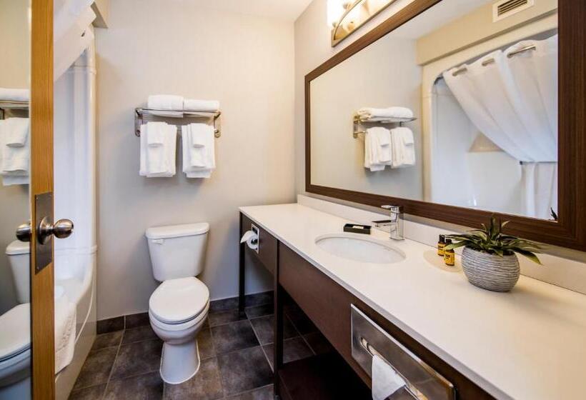 キングサイズベッドのスタンダードルーム, Best Western Plus Moncton