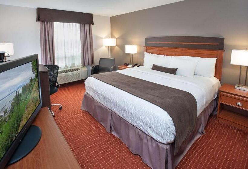 キングサイズベッドのスイートルーム, Best Western Plus Moncton