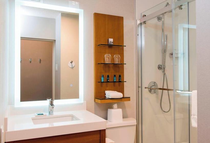 Люкс, Sonesta Hotel Grand Rapids Airport