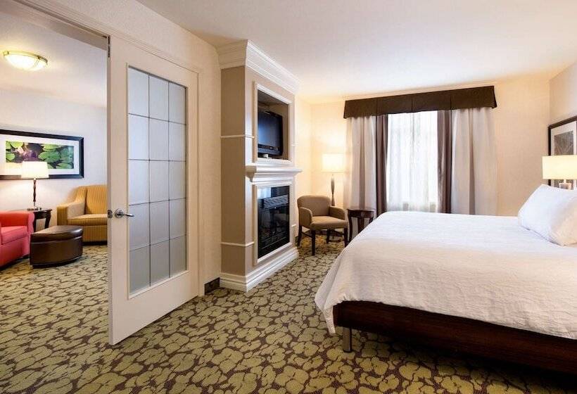 スイート, Hilton Garden Inn West Edmonton