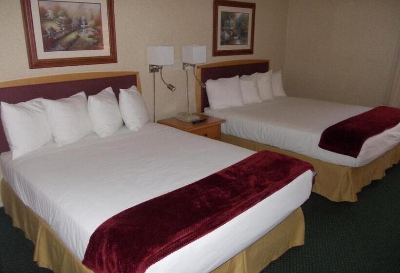 Номер Стандарт, Rocky Inn Express
