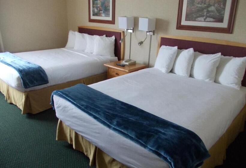 Номер Стандарт, Rocky Inn Express