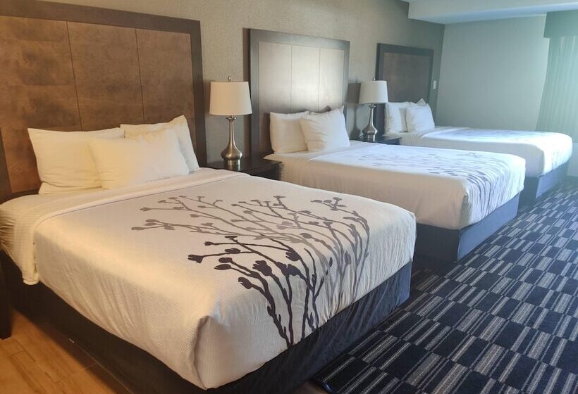 디럭스 룸, La Quinta Inn By Wyndham Steamboat Springs