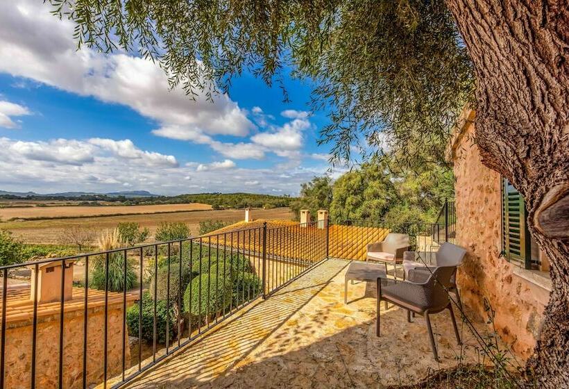 Номер Стандарт, Finca Son Roig by Valentin