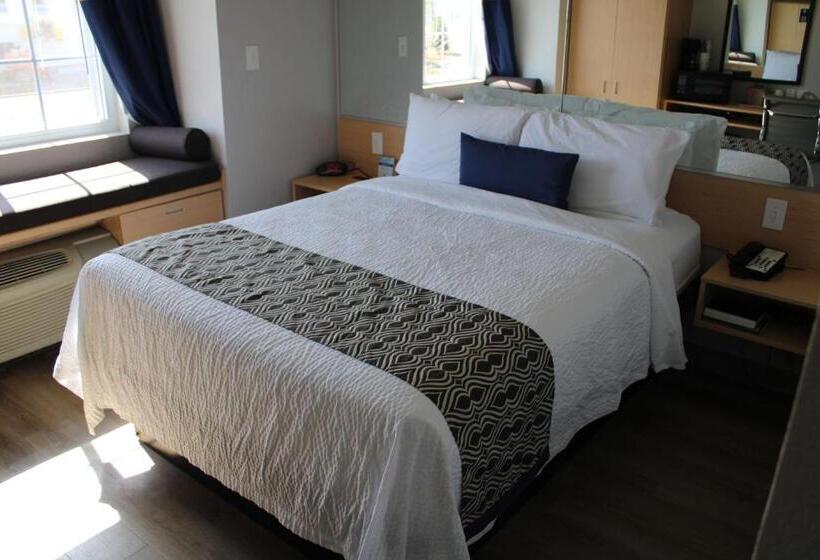 장애인을 위한 스탠다드 룸, Microtel Inn & Suites By Wyndham Albertville