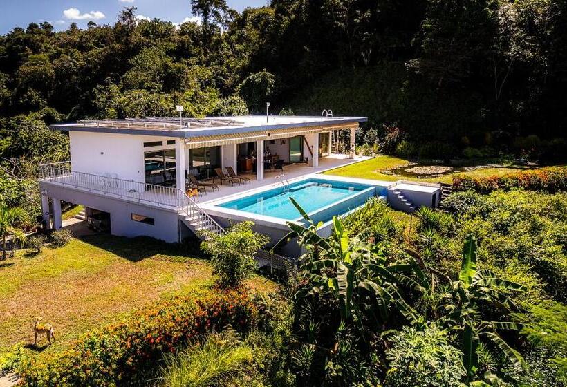디럭스 룸, Casa Laureles