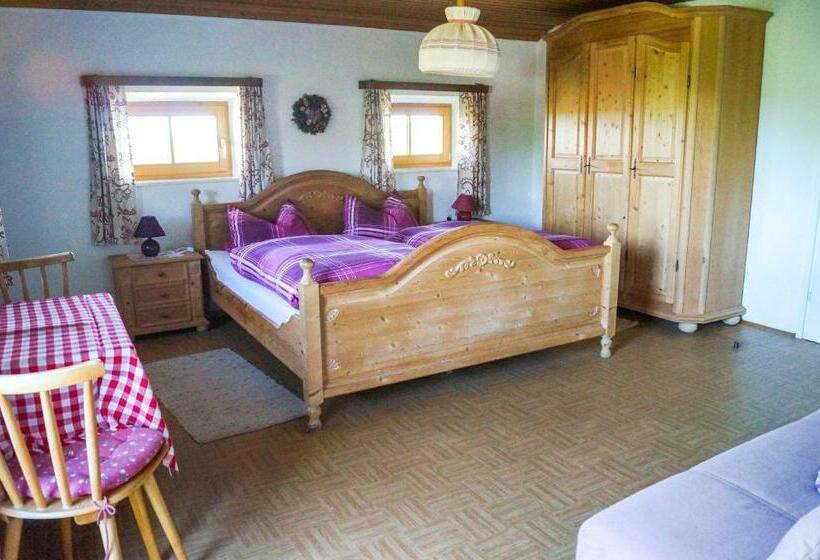 Номер Стандарт с Балконом, Mayerhof