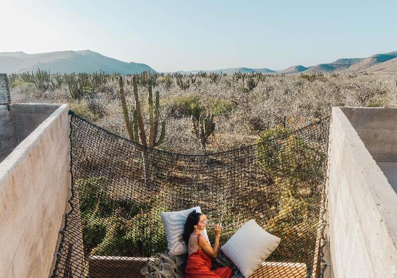 スイート, Paradero Todos Santos   Exclusive Experiences Included