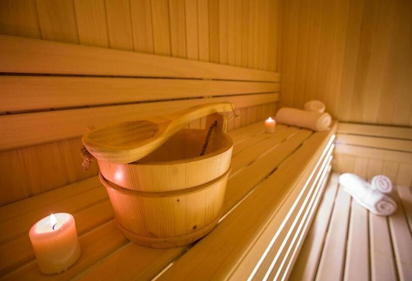 آپارتمان 1 خوابه, Srebrna Planina Spa & Resort