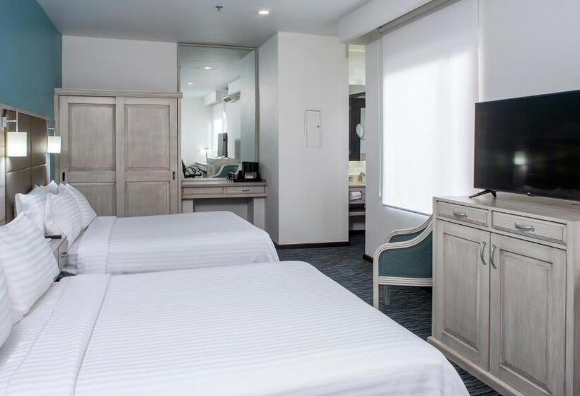 デラックススイート, Holiday Inn & Suites Mexico Zona Reforma, An Ihg
