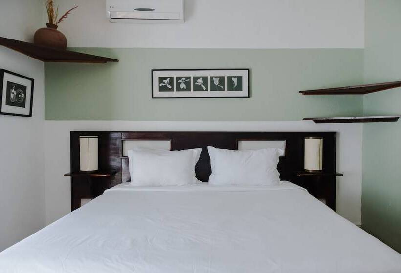 ジュニアスイート, Los Agaves Hotel Boutique