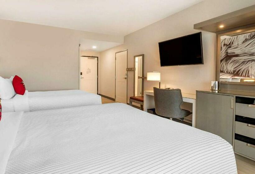 Номер Стандарт 2 Двуспальные Кровати, Cambria Hotel Rock Hill   University Center