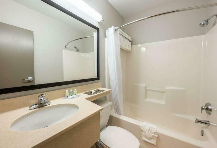 Номер Стандарт 2 Двуспальные Кровати, Quality Inn Poughkeepsie