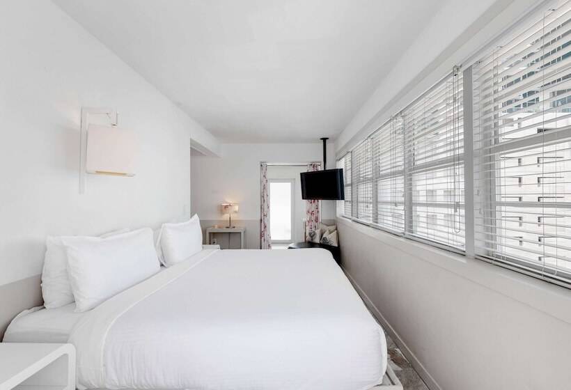 חדר פנטהאוז, Townhouse  Miami