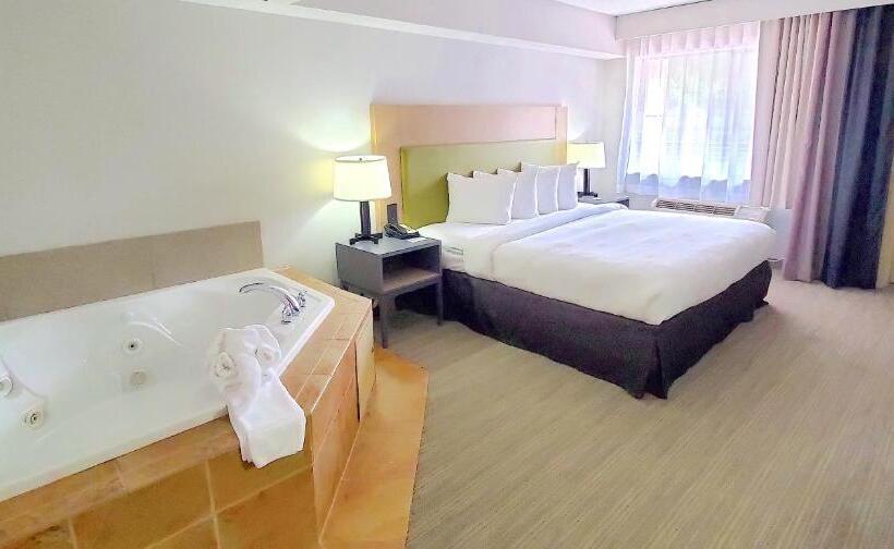 带大床的套房, Country Inn & Suites By Radisson, Jonesboroughjohnson City West, Tn