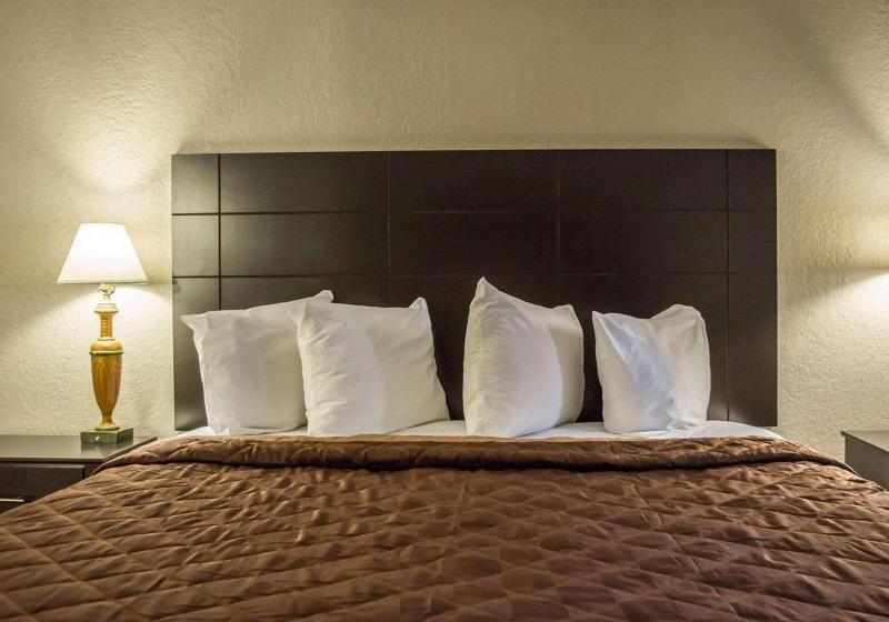 带大床的标准间, Rodeway Inn Near Ybor City  Casino