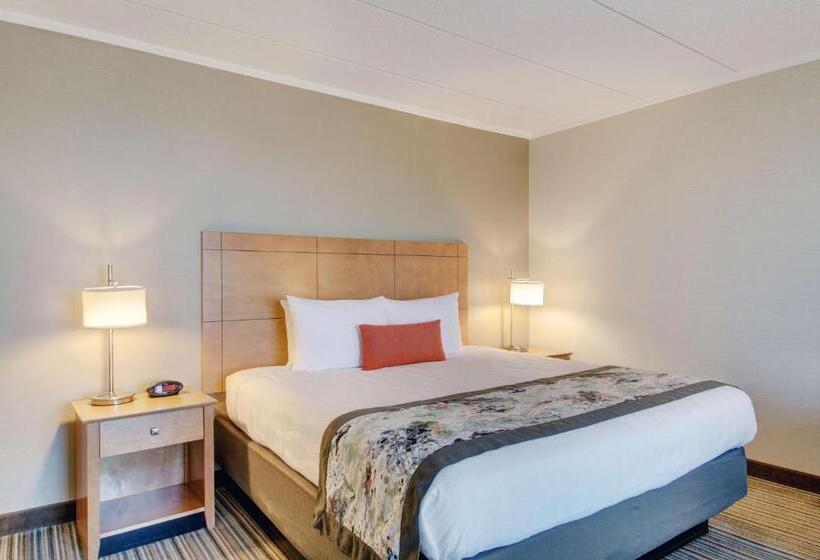 스탠다드 룸 킹사이즈 침대, Best Western  Plus Waltham Boston
