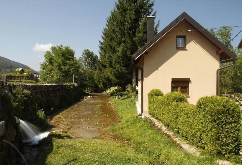 اتاق استاندارد سه نفره, House Drakulić
