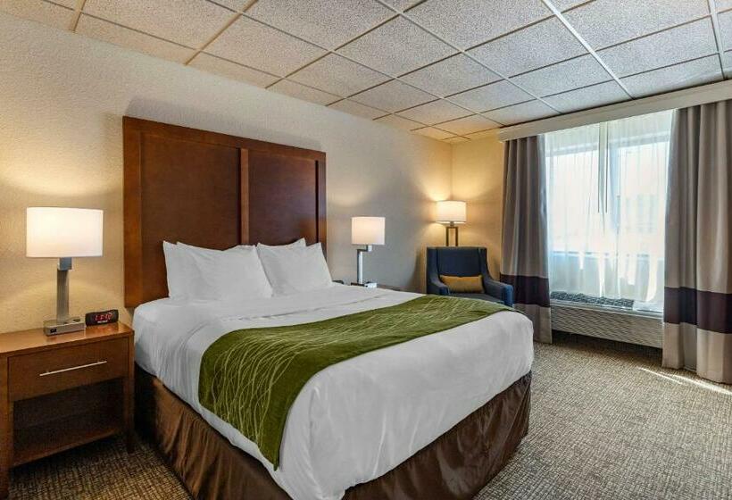 Номер Стандарт, Comfort Inn & Suites Gateway To Glacier National Park
