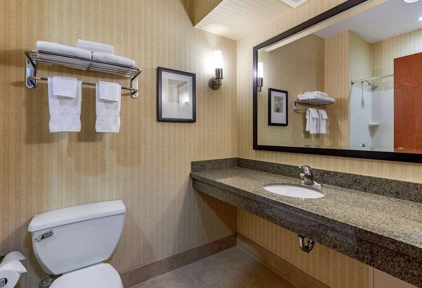 Люкс, Comfort Inn & Suites Gateway To Glacier National Park