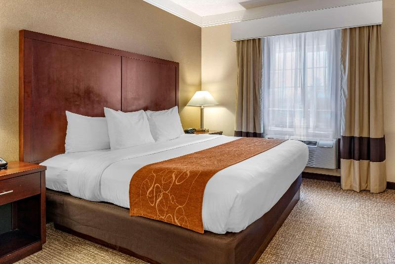 스위트 킹사이즈 침대, Comfort Suites Linn County Fairground And Expo