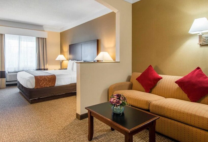 스위트, Comfort Suites Linn County Fairground And Expo
