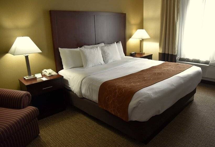 스위트, Comfort Suites Linn County Fairground And Expo