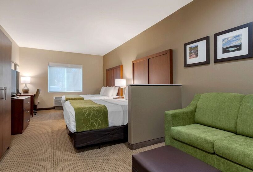 Люкс Адаптированный для Инвалидов, Comfort Suites Marysville Yuba City