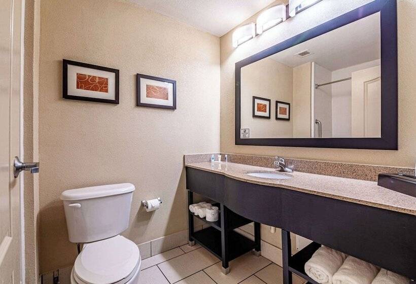 Люкс, Comfort Suites Morrow Atlanta South