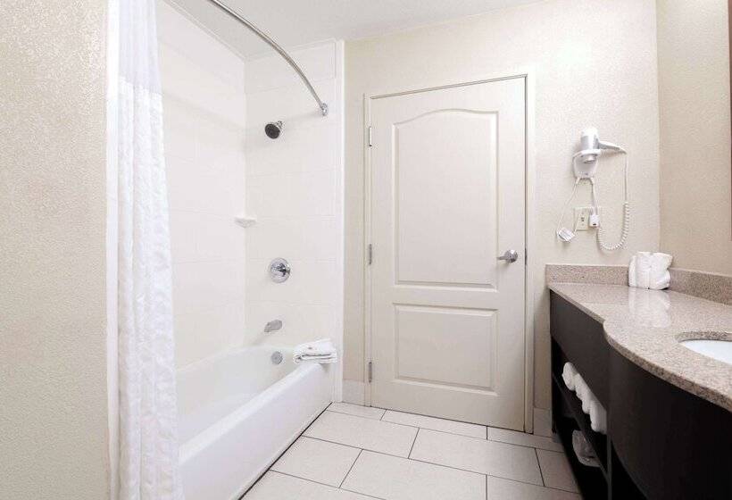 Люкс Адаптированный для Инвалидов, Comfort Suites Morrow Atlanta South