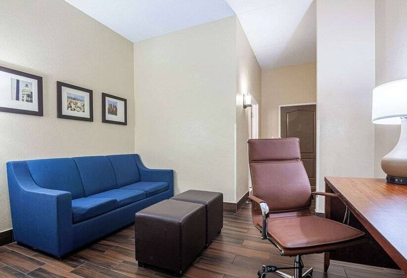 Люкс Адаптированный для Инвалидов, Comfort Suites Morrow Atlanta South