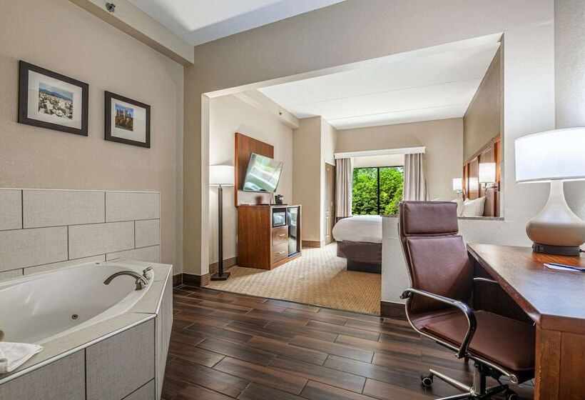 Люкс с гидромассажем, Comfort Suites Morrow Atlanta South