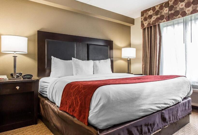 Люкс Кровать Кинг, Comfort Suites Morrow Atlanta South