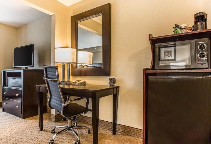 Люкс Адаптированный для Инвалидов, Comfort Suites Morrow Atlanta South