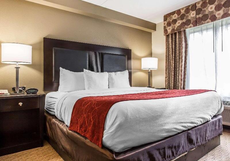 Люкс Кровать Кинг, Comfort Suites Morrow Atlanta South