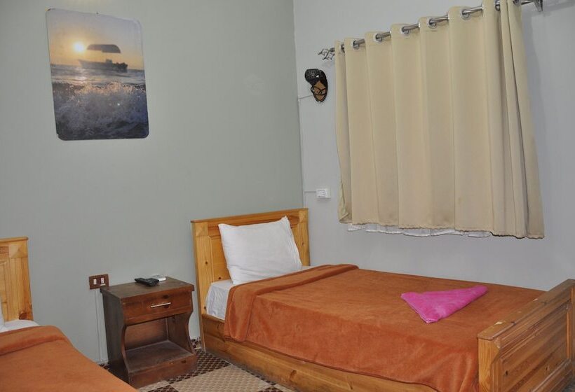 اتاق استاندارد یک نفره, Dahab Plaza