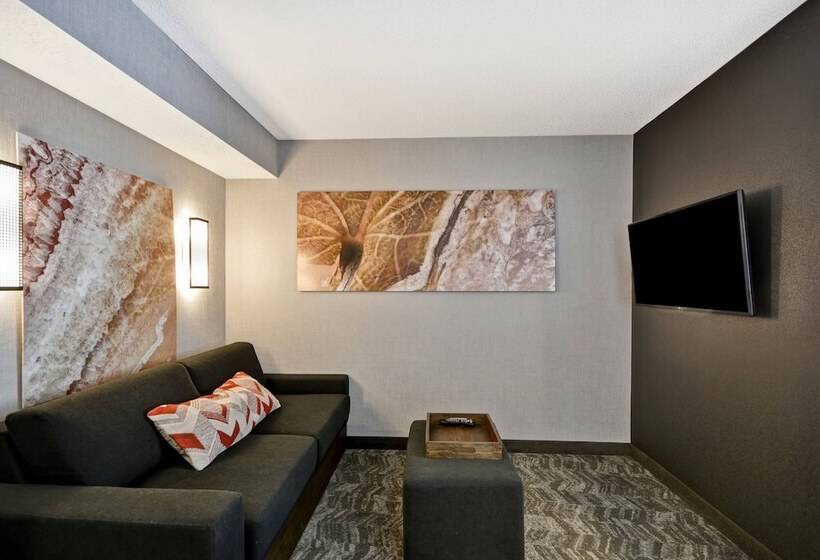 2 Szobás Suite, Springhill Suites By Marriott Indianapolis Airport/plainfield