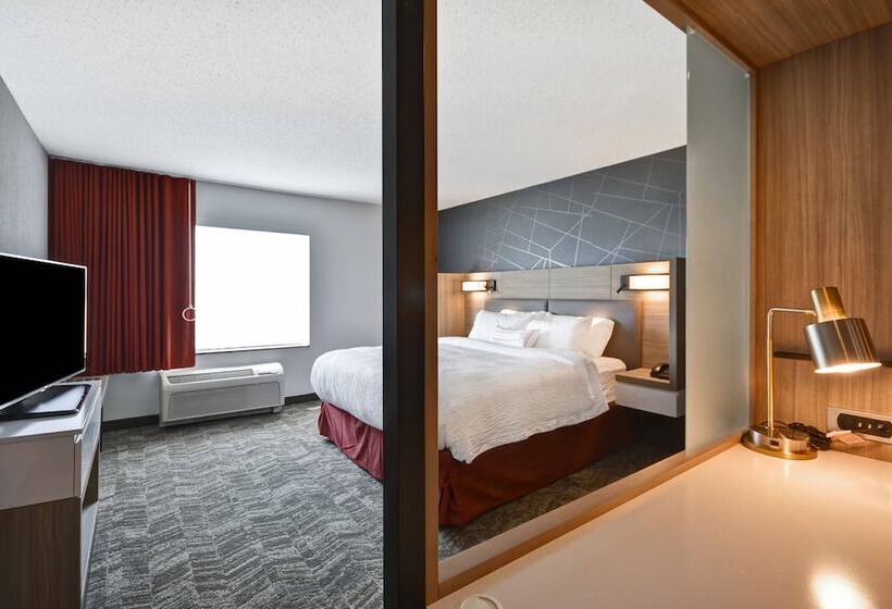Lakosztály, Springhill Suites By Marriott Indianapolis Airport/plainfield