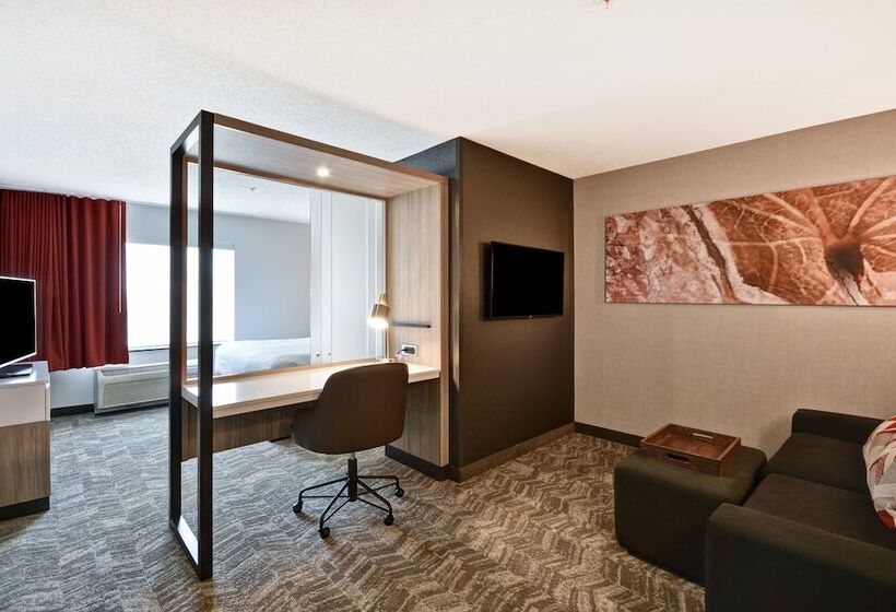 Lakosztály, Springhill Suites By Marriott Indianapolis Airport/plainfield