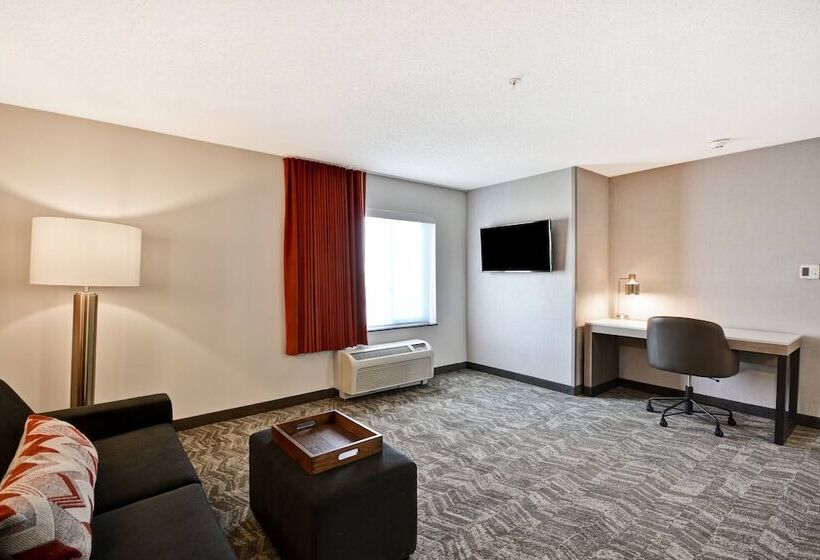 Lakosztály, Springhill Suites By Marriott Indianapolis Airport/plainfield