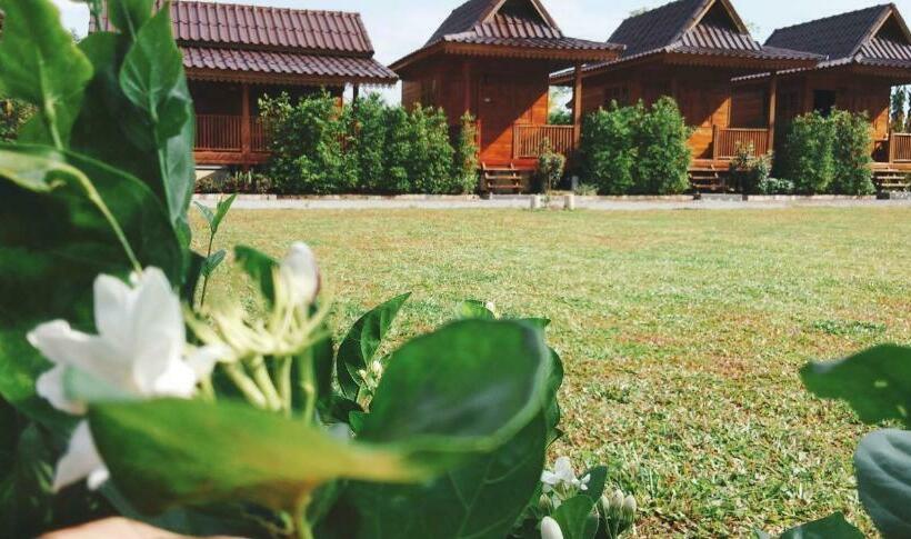 بنجلو قياسى, Imsuk Homestay Chiang Rai