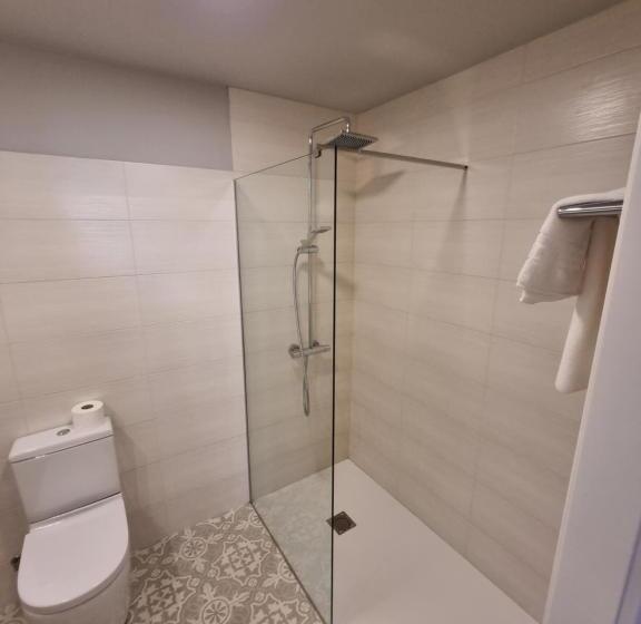 Номер Deluxe Одноместный, Hostal La Rúa