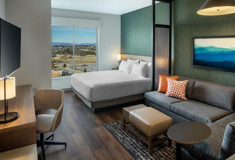 Номер Стандарт Кровать Кинг Адаптированный для Инвалидов, Hyatt Place Harrisonburg