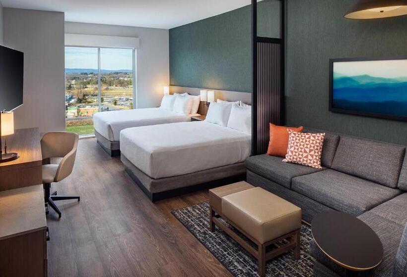 Номер Стандартный Кровать Куин, Hyatt Place Harrisonburg