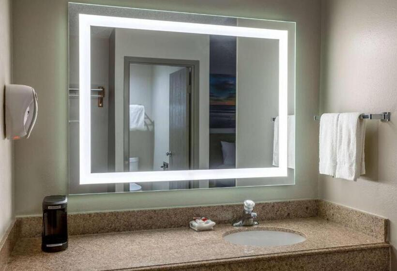Номер Deluxe Кровать Кинг, Days Inn By Wyndham Pleasant Prairie Kenosha