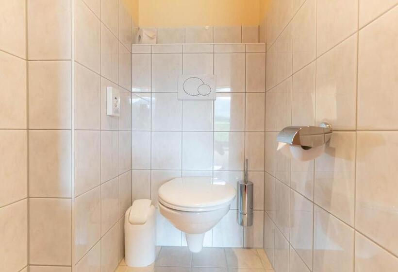 استودیو استاندارد با بالکن, Apart & Suiten Hotel Weiden