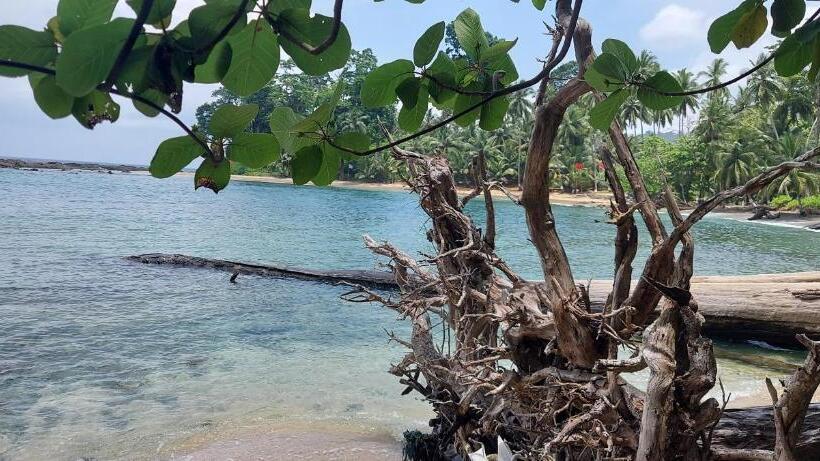 Люкс Superior Вид на Море, Adhvasaha Beach Spa Resort