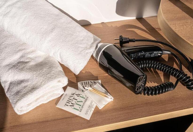 اتاق سوپریور, B&b Hotel Evian Publier