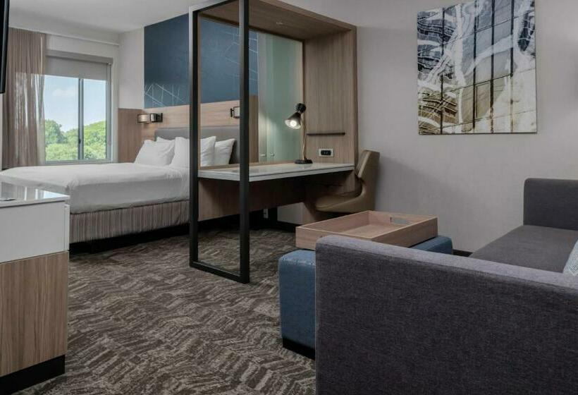 Люкс Кровать Кинг, Springhill Suites By Marriott Charlotte Huntersville