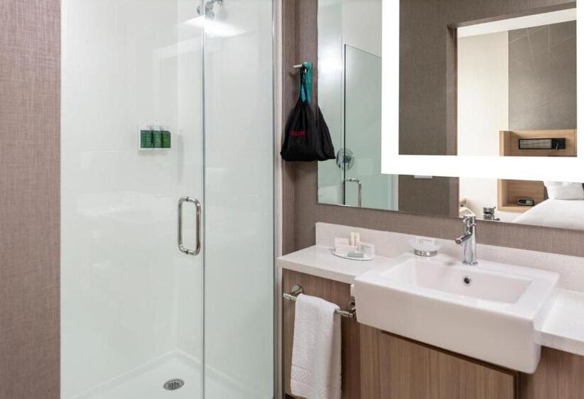 Люкс Кровать Кинг, Springhill Suites By Marriott Charlotte Huntersville